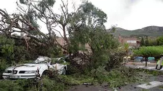 El temporal deja un reguero de daños en Alicante: 62 intervenciones de bomberos en la provincia