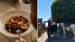 La venta malagueña que abrió en 1942 y aún sirve las mejores sopas, potajes y carnes desde 6,5 euros: "Comida casera de verdad en un entorno natural precioso"