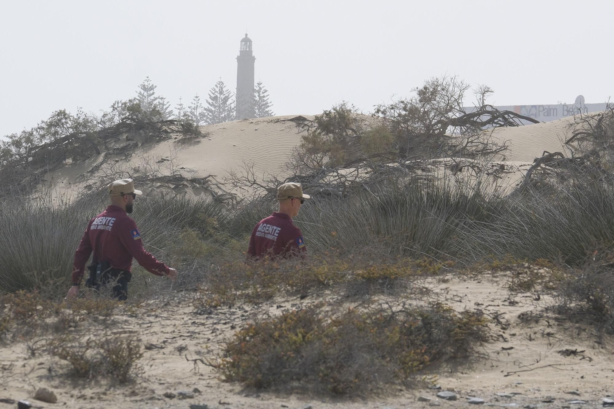 La Guardia Civil y el Cabildo controlan los accesos a las Dunas de Maspalomas