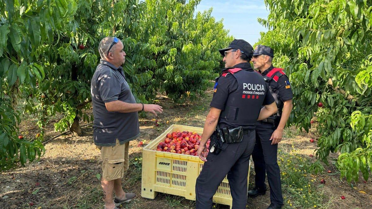 Los Mossos patrullando en zonas rurales