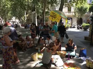 50 Personen picknicken gegen die touristische Überfüllung auf Mallorca