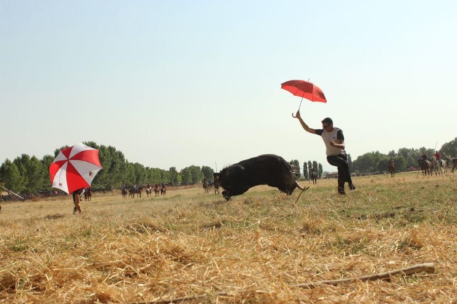 Fiestas en Zamora: Villamor de los Escuderos