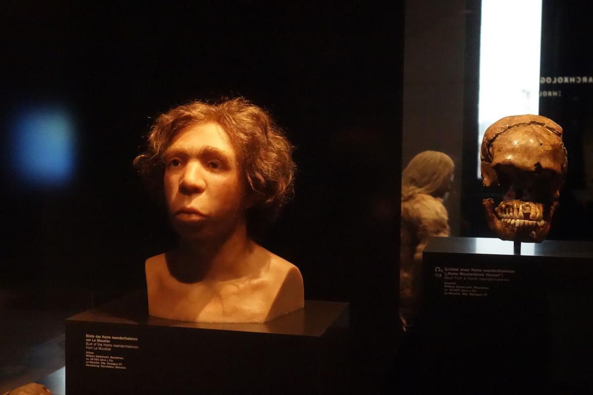 El busto de Homo neanderthalensis en el Museo de Pérgamo en Berlin muestra un antepasado del hombre moderno.