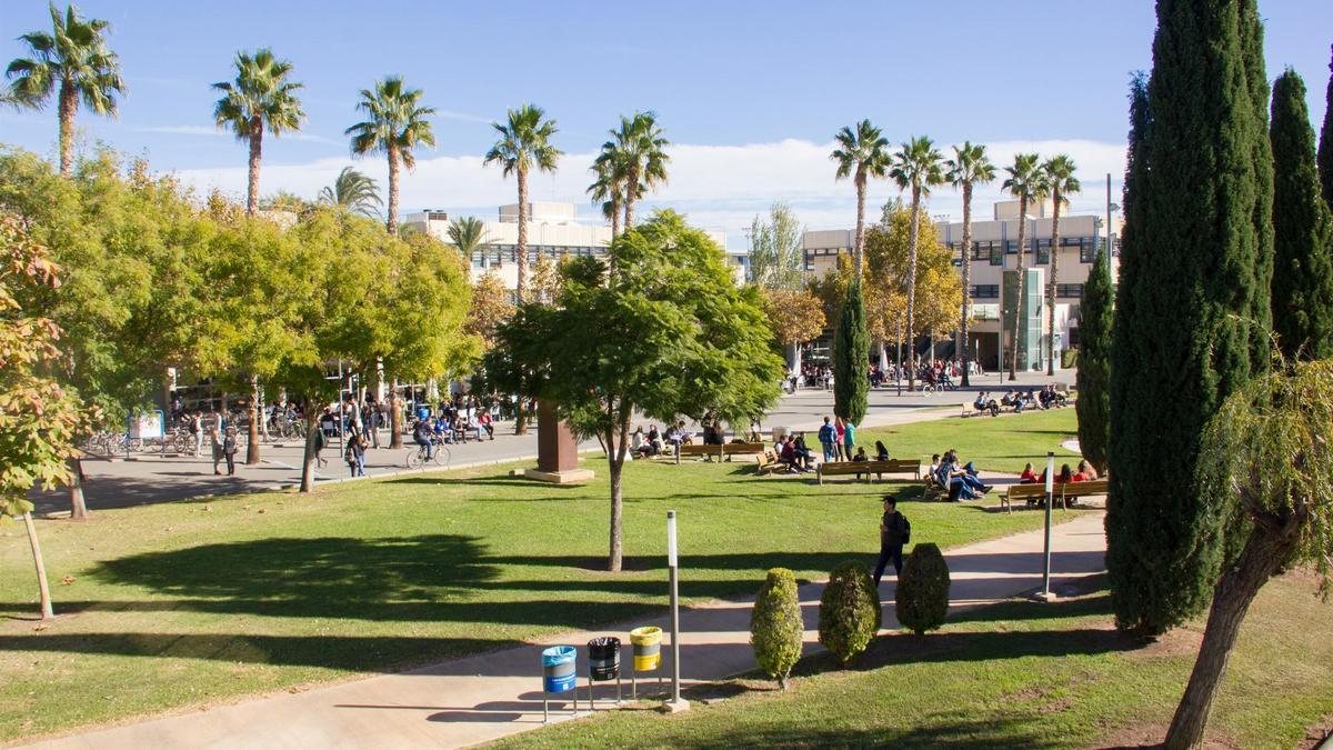 Campus de la UPV.