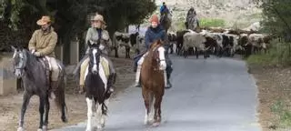 La sequía obliga a recuperar la práctica de la trasterminancia en Caravaca