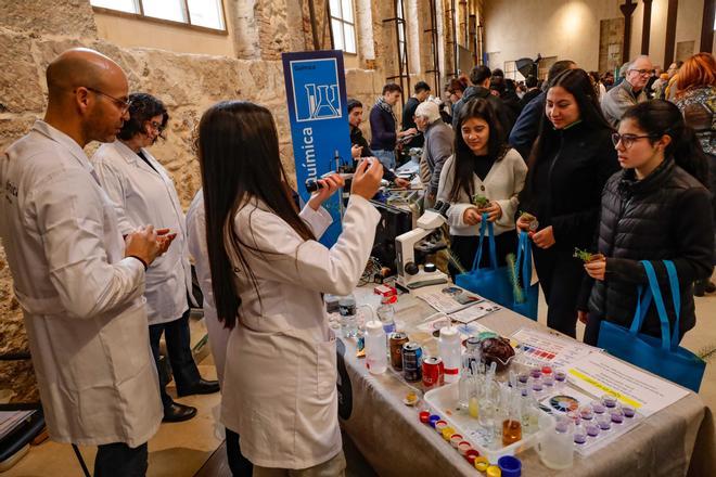 Imágenes de la Fira d'Habilitats FP de L’Alcoià y el Comtat