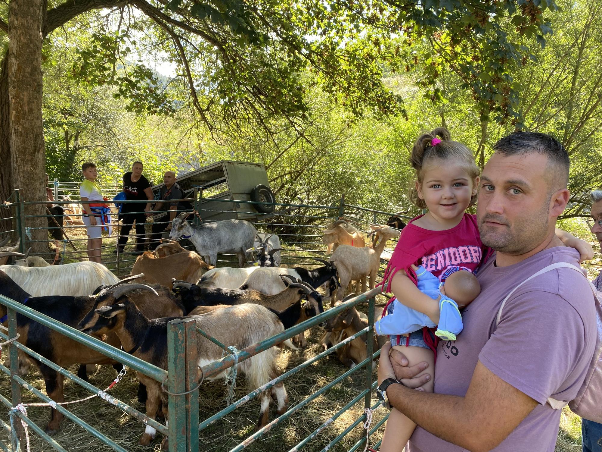 Concurso de ganado en la Feria de San Martín