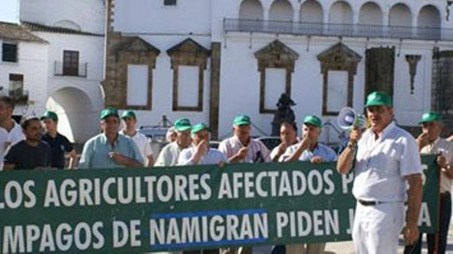 Medio centenar de agricultores protesta en Llerena  por las deudas impagadas de la empresa &#039;Namigran&#039;