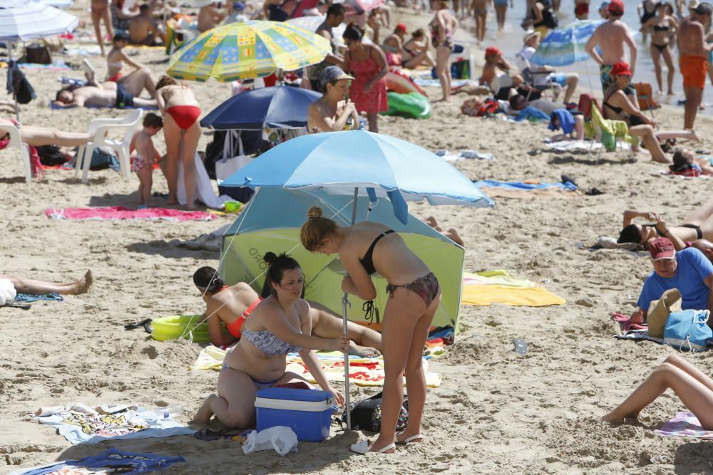 Dos mujeres colocando la sombrilla en la playa del Postiguet