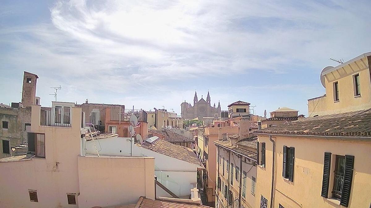 Auch in Palma de Mallorca kann man sich über schönes Wetter freuen.