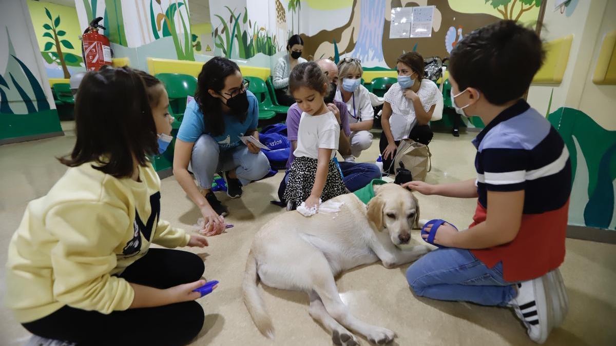 Terapia canina en el hospital Reina Sofía