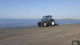 Santa Pola culmina la operación de limpieza para retirar montañas de posidonia en playas