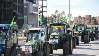 Asaja se suma a la tractorada de Madrid y realizará nueva protesta en defensa de los cítricos