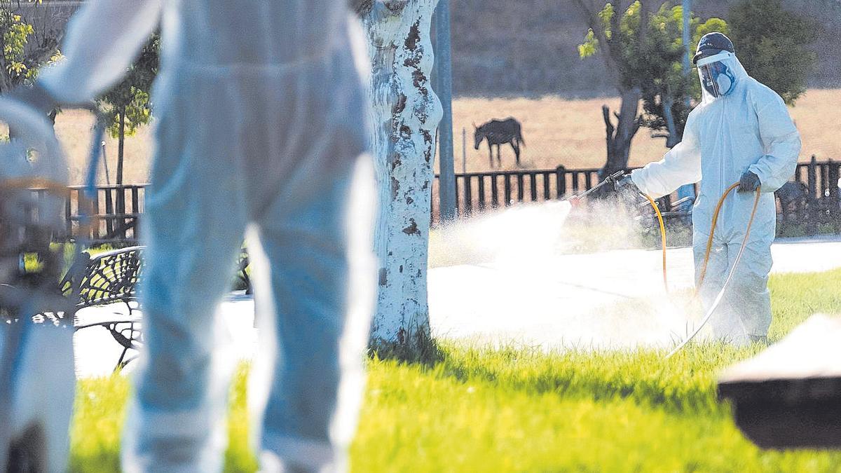 Fumigaciones en Coria del Río (Sevilla)