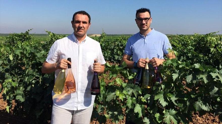 Investigan cómo producir un cava más sostenible y de mejor calidad