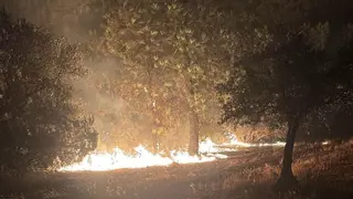 Piden la declaración de zona catastrófica para Castiblanco y Valdecaballeros: "Un 30% de los olivos se han quemado"