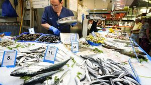 El consum de peix a Espanya cau més d’un 30% en una dècada