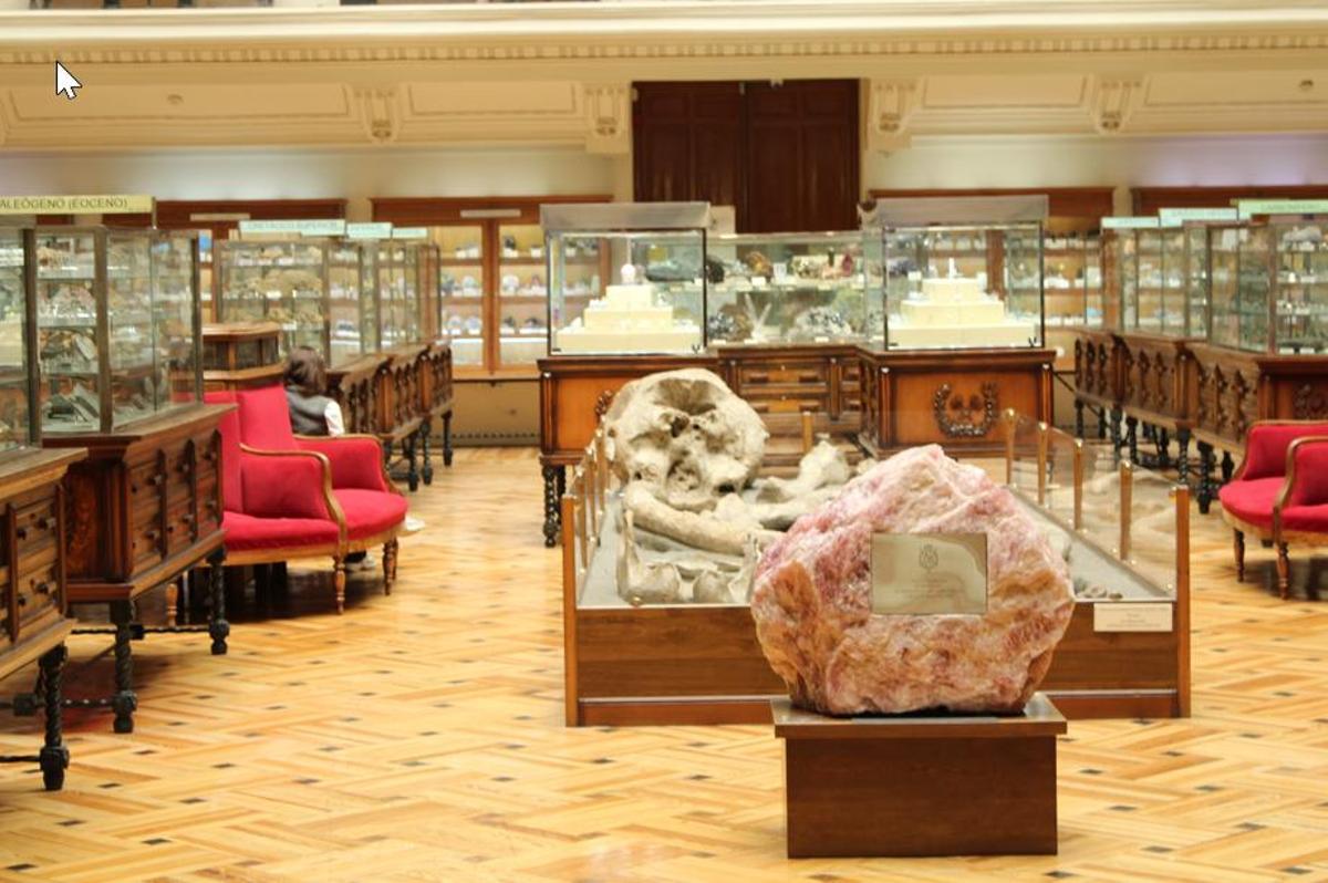 Sala principal del museo, atestada de vitrinas.