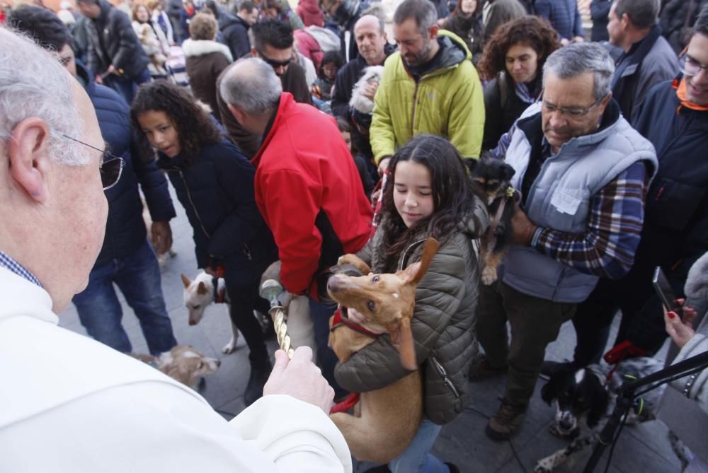 Anglès inaugura les calderes de la Burés durant la Fira de Sant Antoni