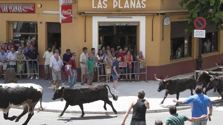 El Grao tendrá vacas pese al ‘no’ del bipartito y CSeM a pagarlas