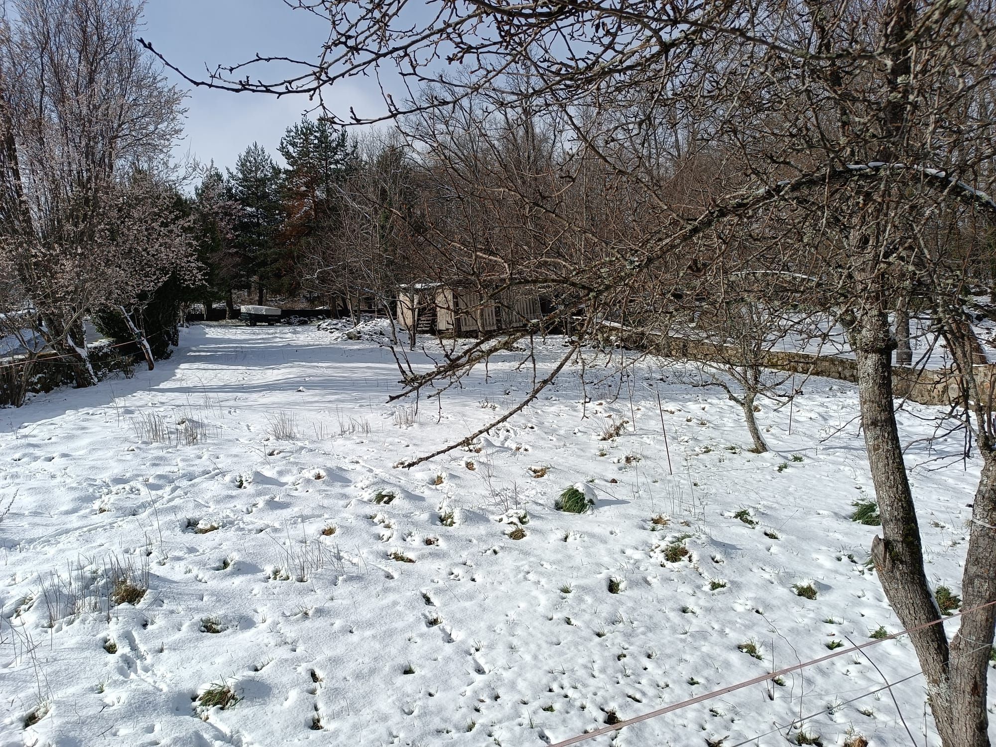 GALERÍA | La nevada de este sábado en Sanabria