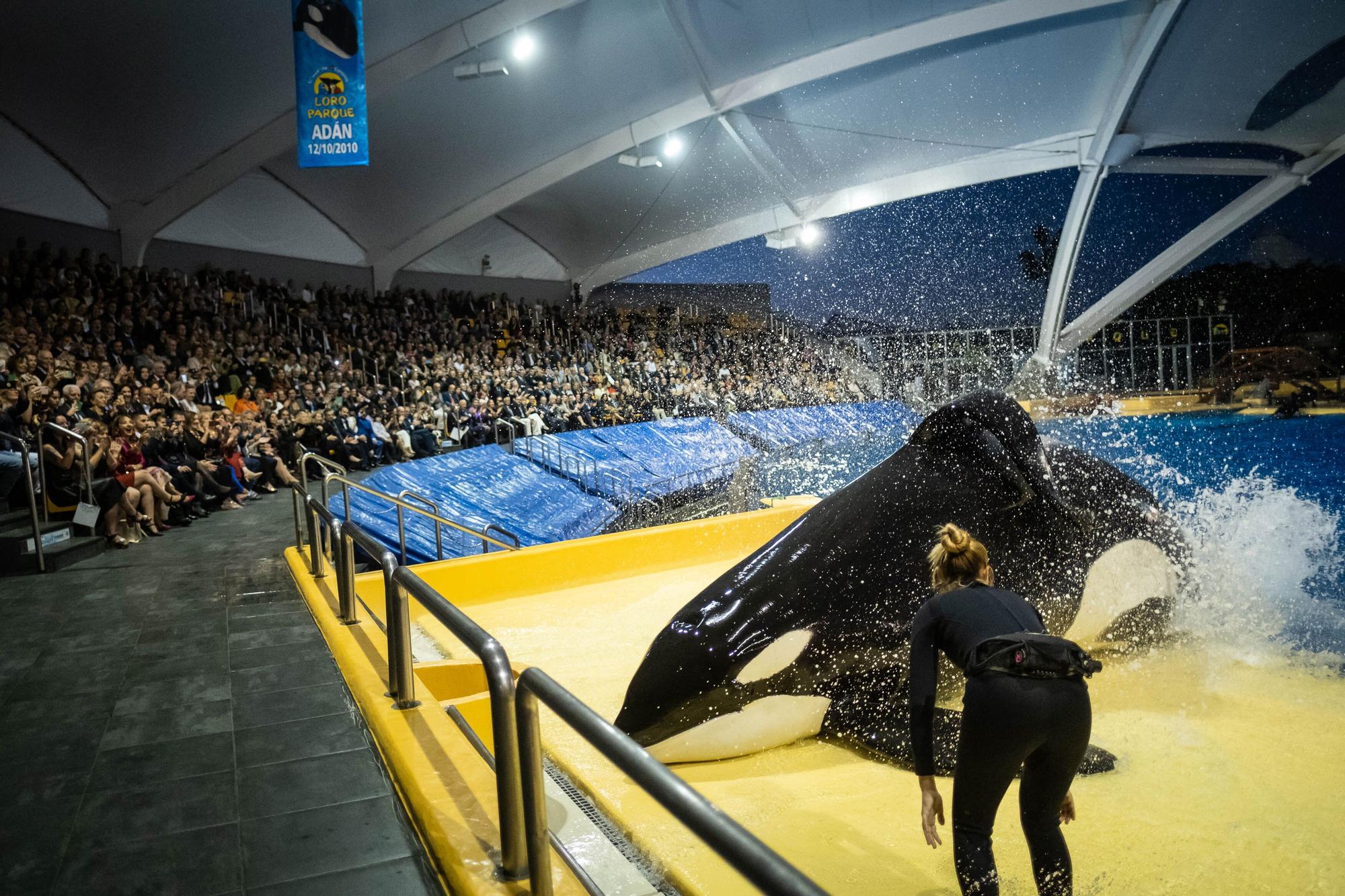 50 aniversario de Loro Parque