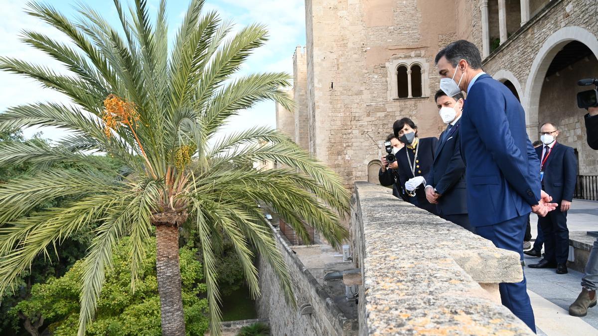 Cumbre entre España e Italia en el Palma