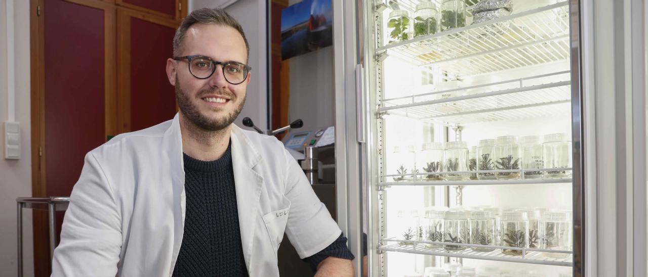 El investigador Pascual García, con muestras de kalanchoe.