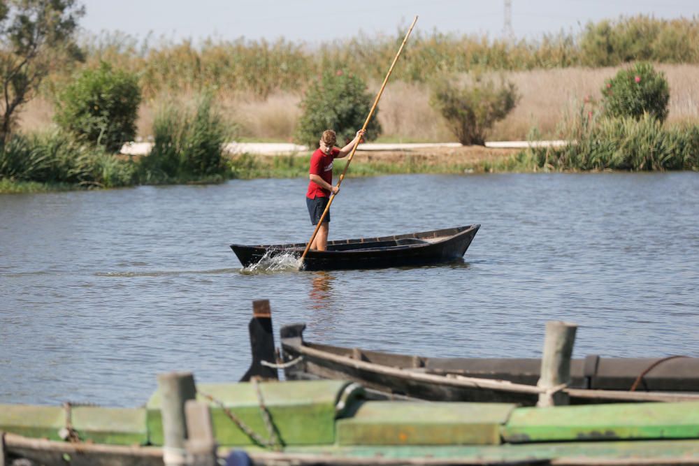 Siega y 'perxa' en l´Albufera