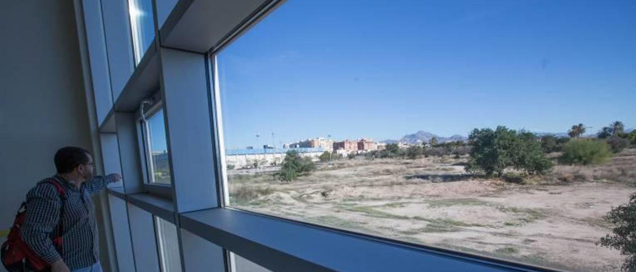 Vista de los terrenos de la ampliación del Parque Científico del campus de Sant Joan desde el edificio Severo Ochoa.