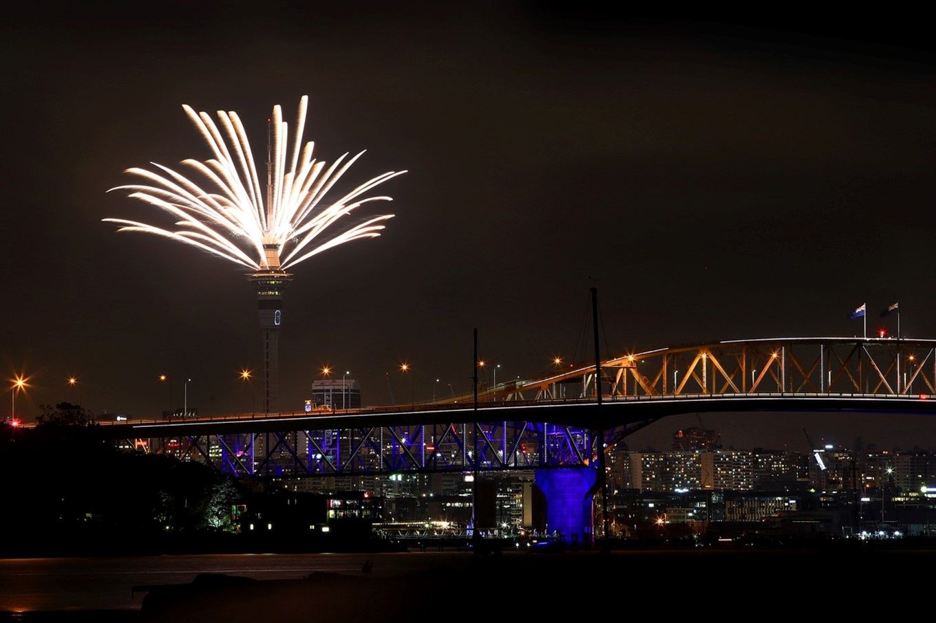 Fuegos artificiales de fin de año en Auckland, Nueva Zelanda, en 2020