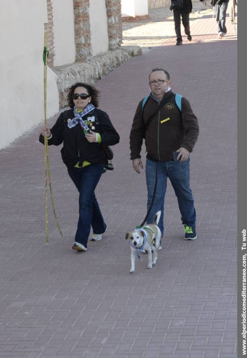 GALERÍA DE FOTOS - Romería Magdalena 2014 (2)