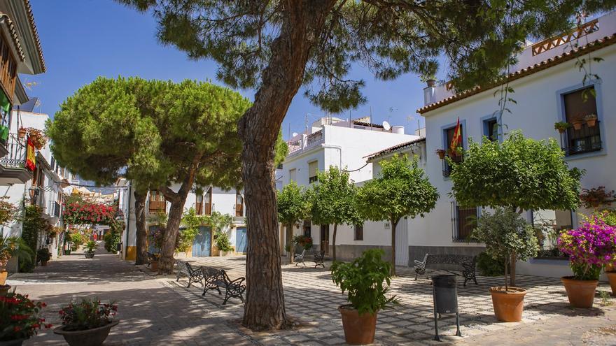 El Ayuntamiento de Estepona plantará más de 250 árboles en distintas zonas del municipio