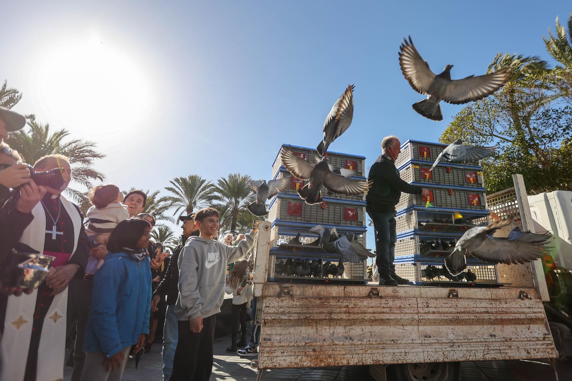 Todas las imágenes de la bendición de animales y el día grande de las fiestas de Sant Antoni