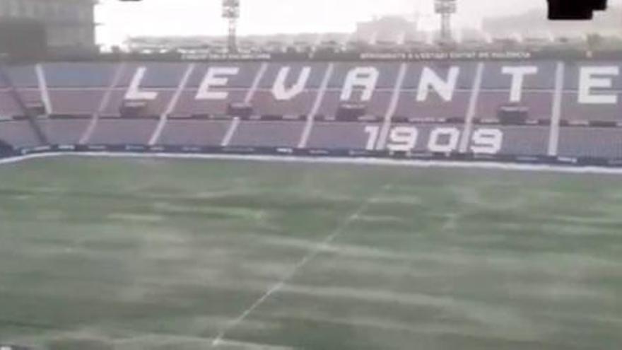 Así está el césped del estadio