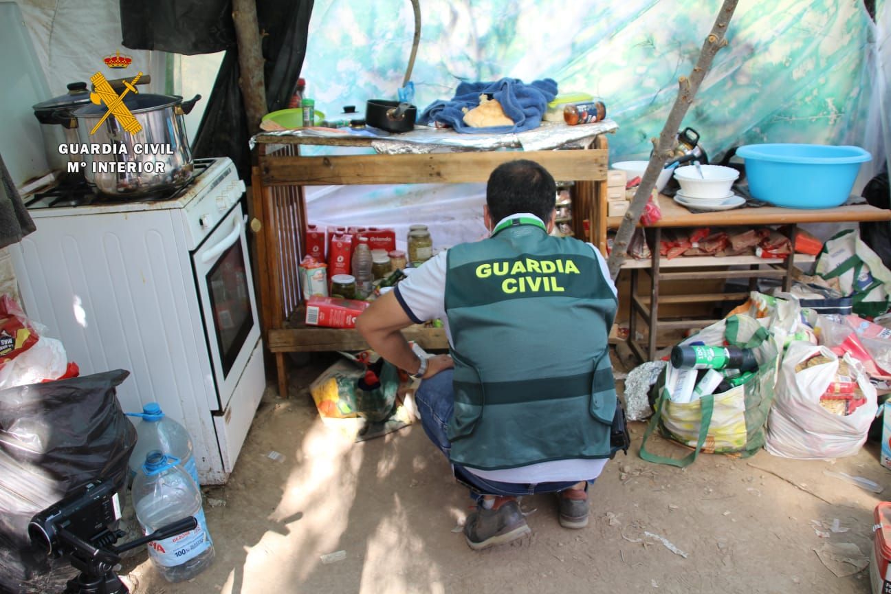 La Guardia Civil desmantela en Mequinenza una plantación al aire libre de marihuana