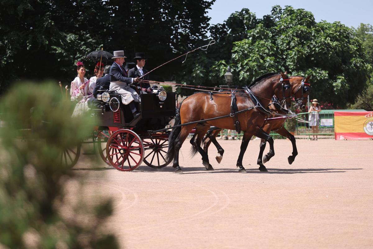 El arte ecuestre toma los Jardines del Alcázar de los Reyes Cristianos para dar el pistoletazo de salida a la Feria de Nuestra Señora de la Salud