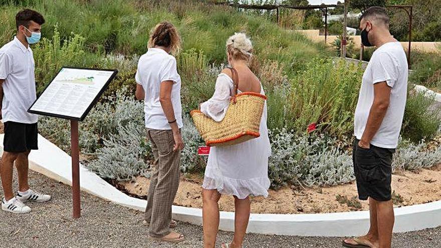 Visitantes en el Ibiza Botánico Biotecnológico.