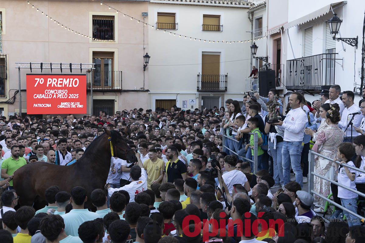 Fiestas de Caravaca | Entrega de premios del concurso morfológico