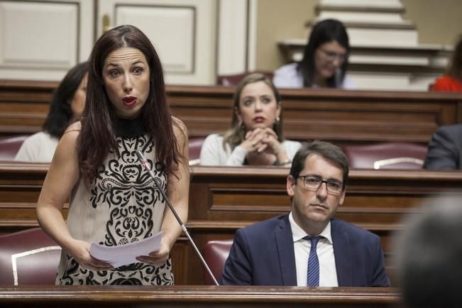 18/04/2017.CANARIAS POLITICA.Pleno del Parlamento de Canarias..Fotos: Carsten W. Lauritsen