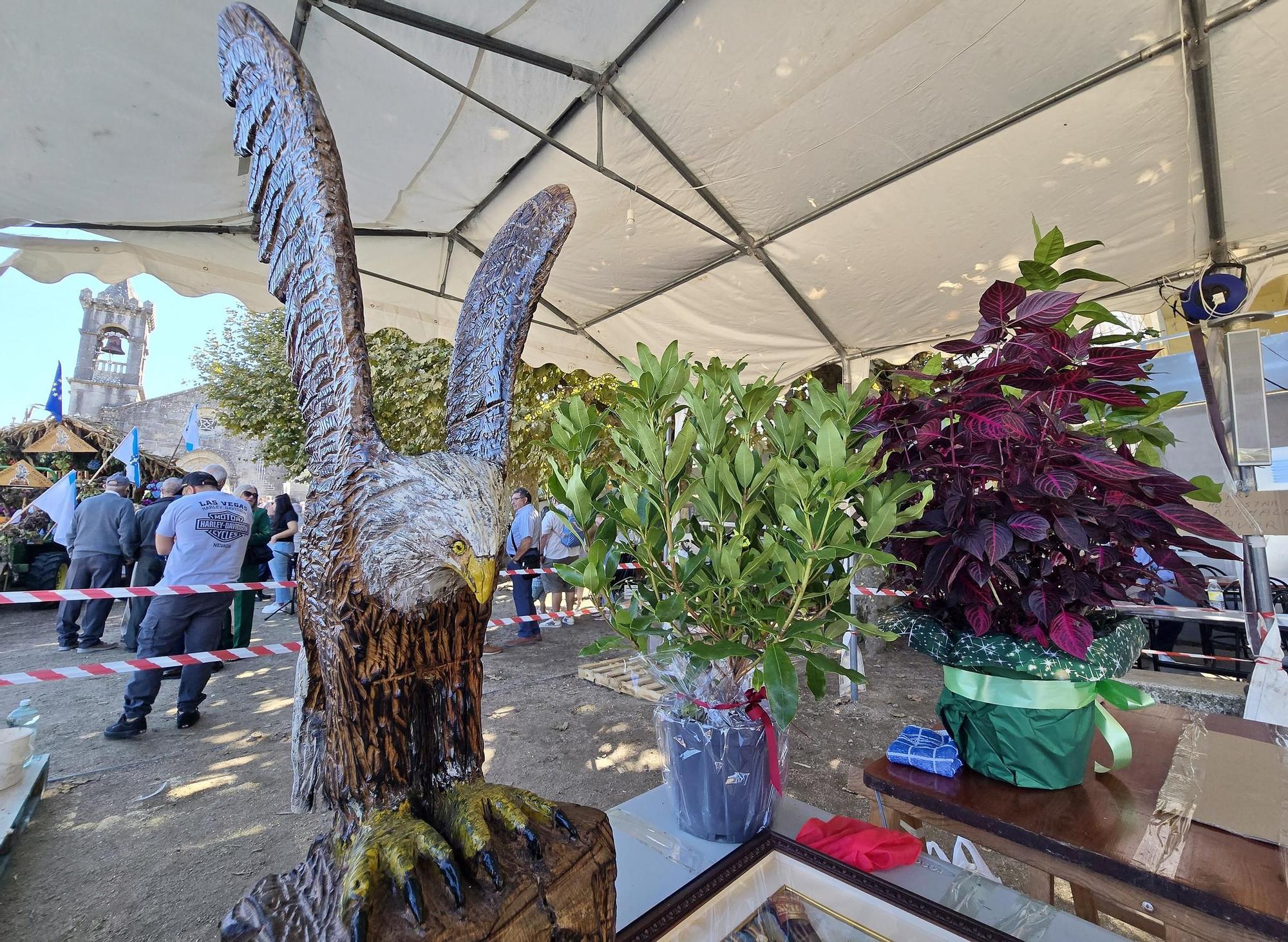 Tradicional procesión en San Miguel de Peitieiros