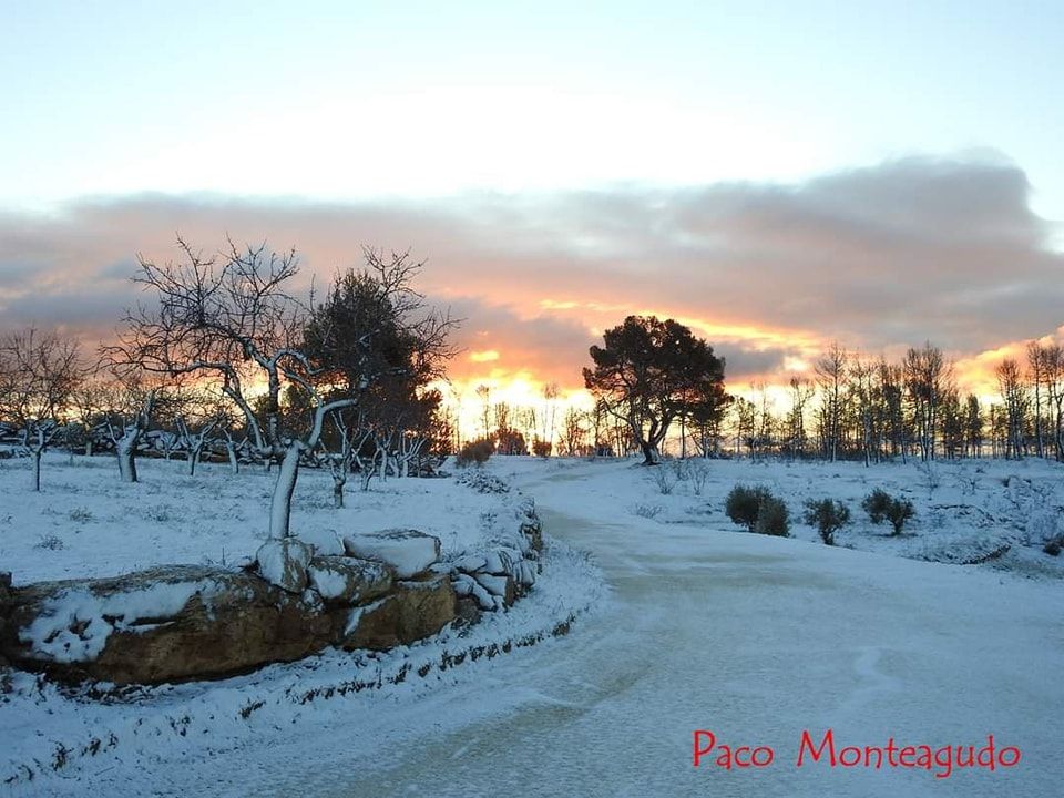 Casas de Moya, en Utiel-Requena