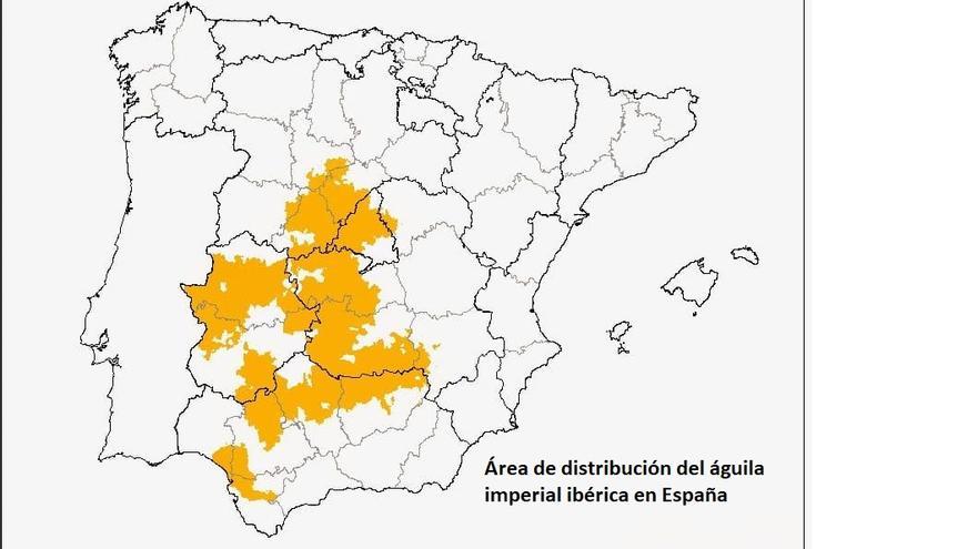 Distribución del águila imperial ibérica