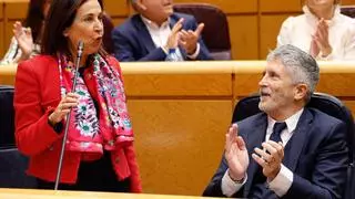 Margarita Robles exige a Mazón un plan para gestionar los efectos de la DANA: "Trabaje un poco por Valencia"