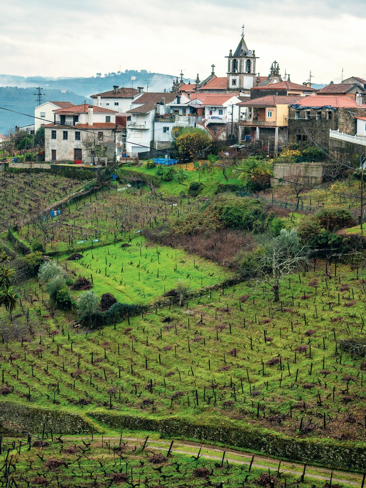 Cumieira.
