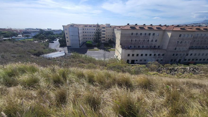 Tenerife se queda sin aspirantes a cura: de 115 seminaristas en 2005 a 11 en 2024