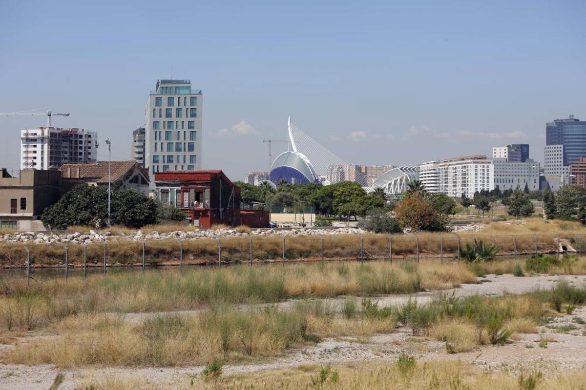 València tendrá un gran delta verte València tendrá un gran delta verte
