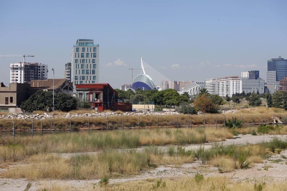 València tendrá un gran delta verte