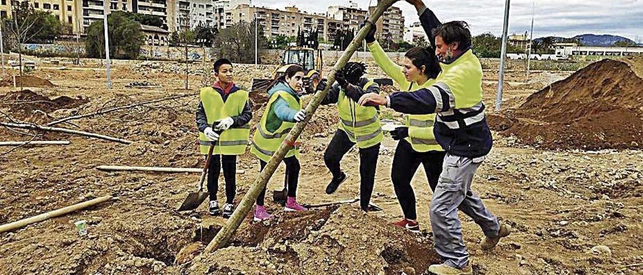 Els alumnes planten un arbre al bosc urbà del canòdrom.