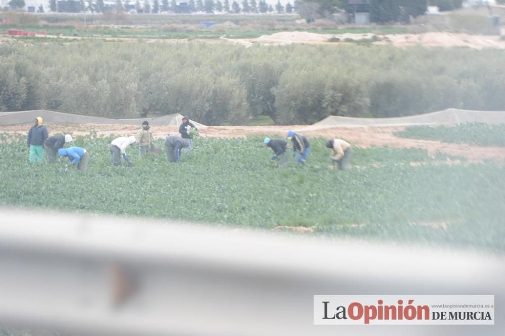 La nieve tiñe de blanco Murcia